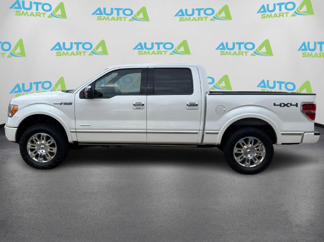 2011 Ford F-150 Platinum SuperCrew 5.5-ft. Bed 4WD
