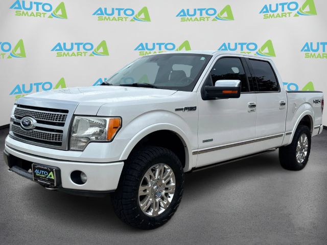 2011 Ford F-150 Platinum SuperCrew 5.5-ft. Bed 4WD