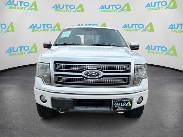 2011 Ford F-150 Platinum SuperCrew 5.5-ft. Bed 4WD